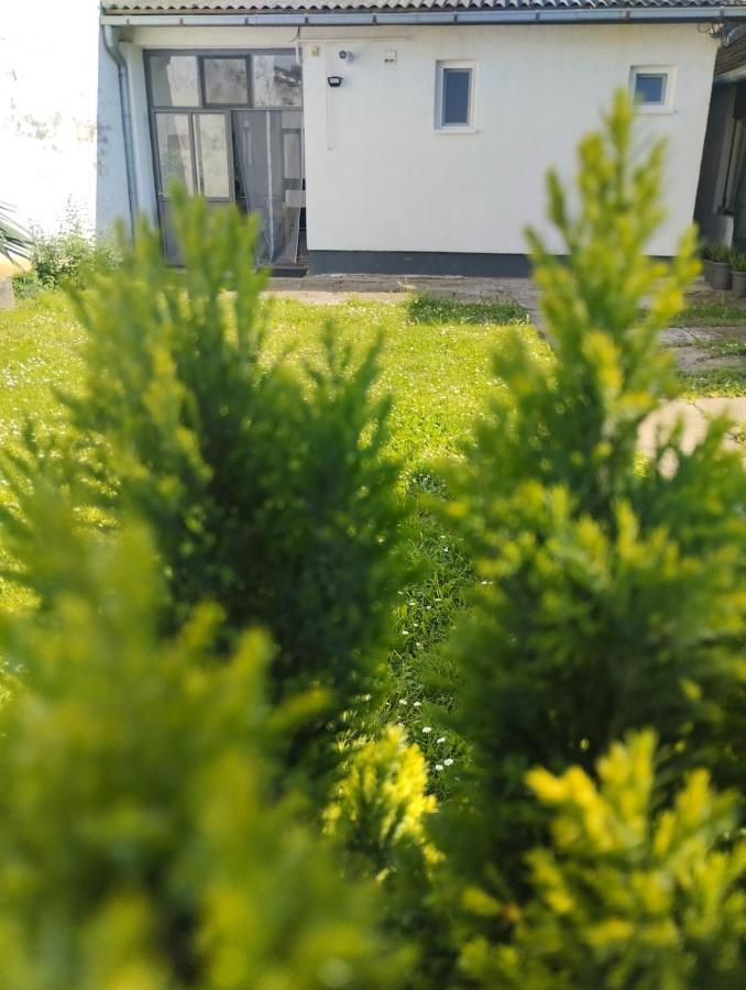 Marija Apartman أوسييك المظهر الخارجي الصورة